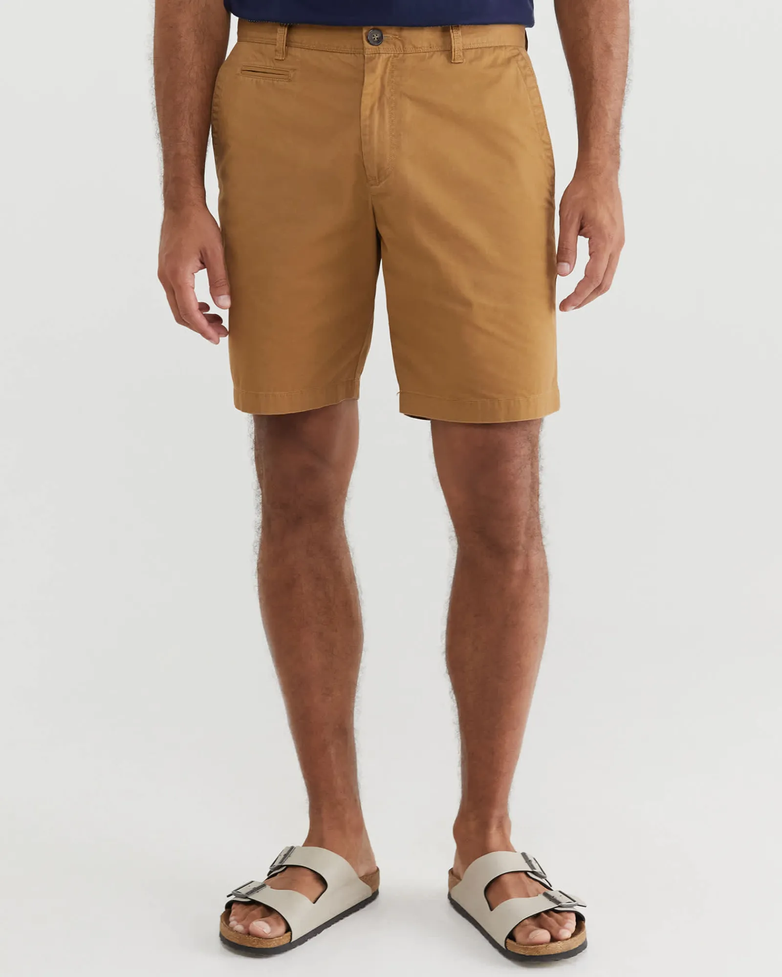 Online Sportscraft Classic Chino Short in Tan
