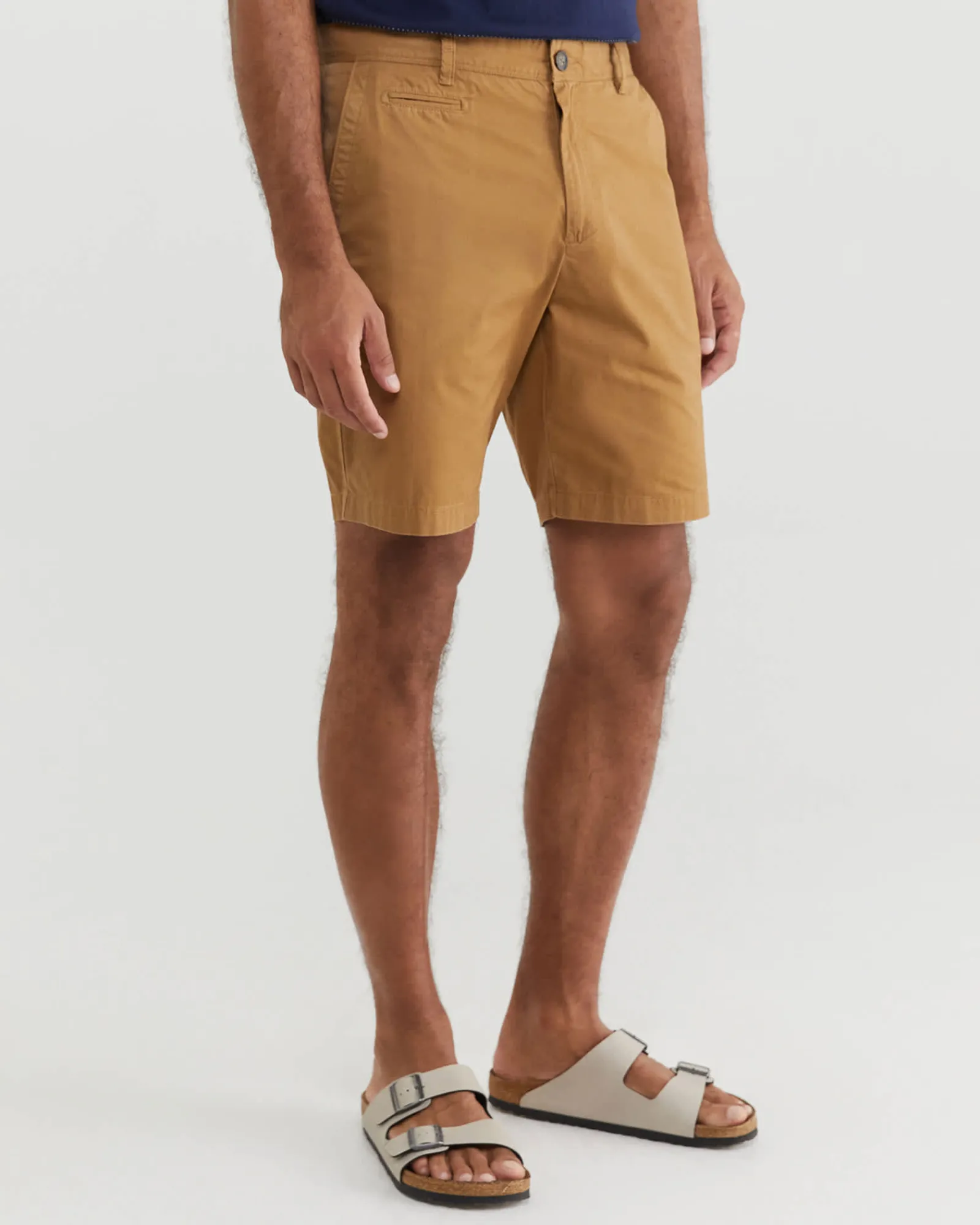 Online Sportscraft Classic Chino Short in Tan