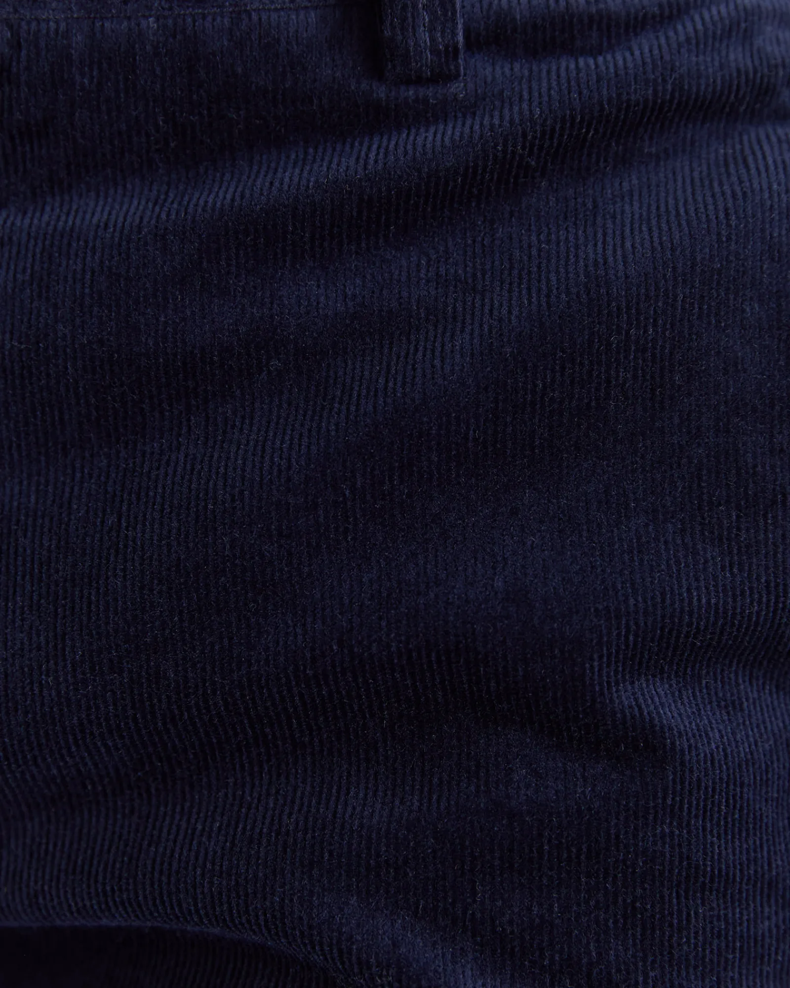 Outlet Sportscraft Cooper Cord Chino in Navy
