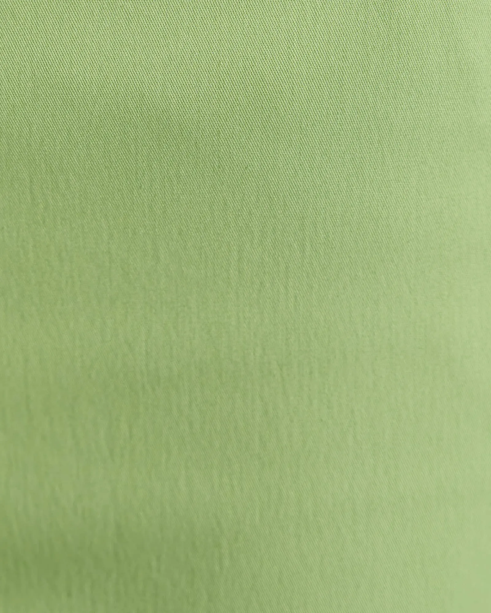 Fashion Sportscraft Evie Capri Pant in Avocado