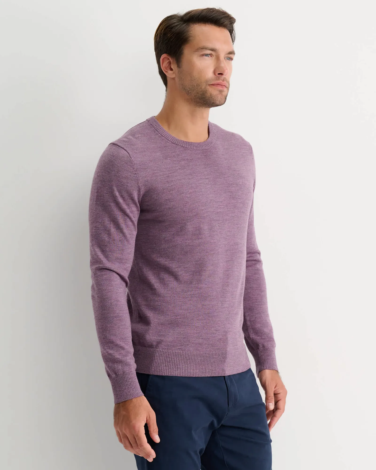 Online Sportscraft Merino Crew Neck Knit in Fig