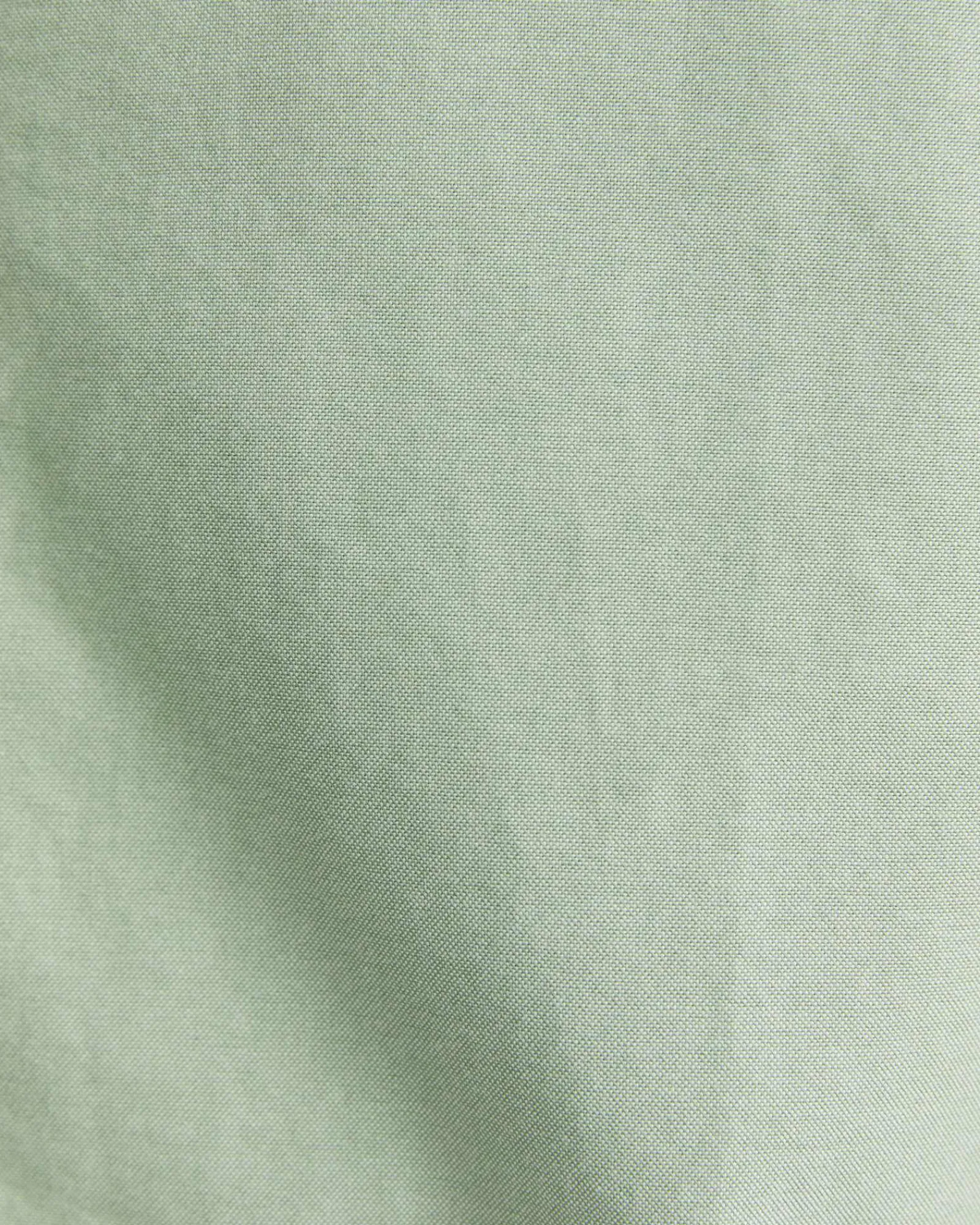 New Sportscraft Oxford Long Sleeve Shirt in Vine