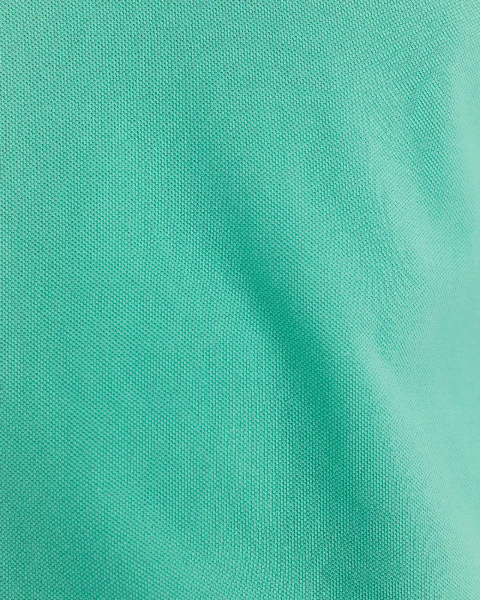 Fashion Sportscraft SC Pique Polo in Spearmint