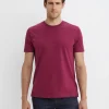 Online Sportscraft Supersoft Tee in Mulberry
