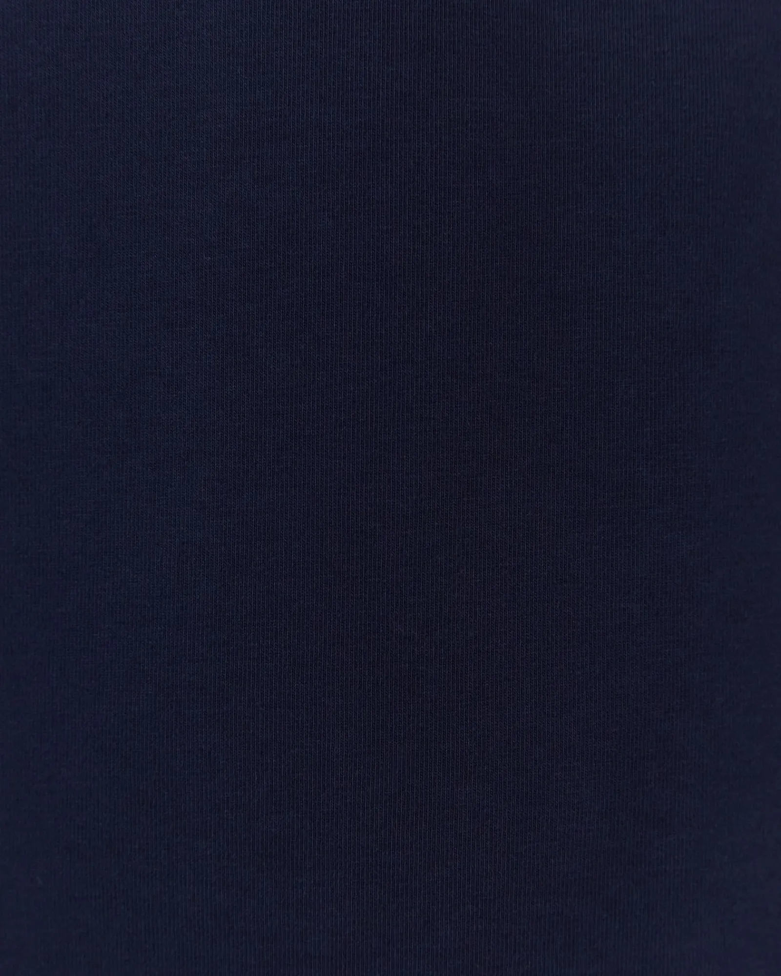 Best Sportscraft The Perfect T-Shirt in Navy