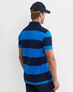 Clearance Sportscraft Vale Polo in Cobalt
