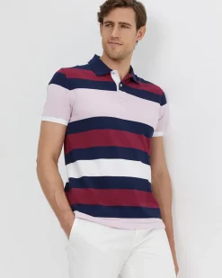 Best Sportscraft Yarra Polo in Pink Multi PinkMulti